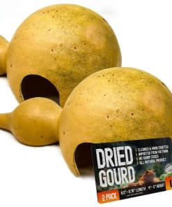 Escondite grande de artesanía en calabaza seca Tarli -