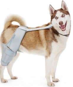 MerryMilo Rodillera para Perros, Soporte para Piernas para