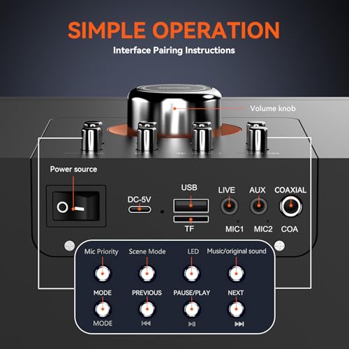 Máquina de Karaoke para Adultos con 2 Micrófonos - Imagen 5