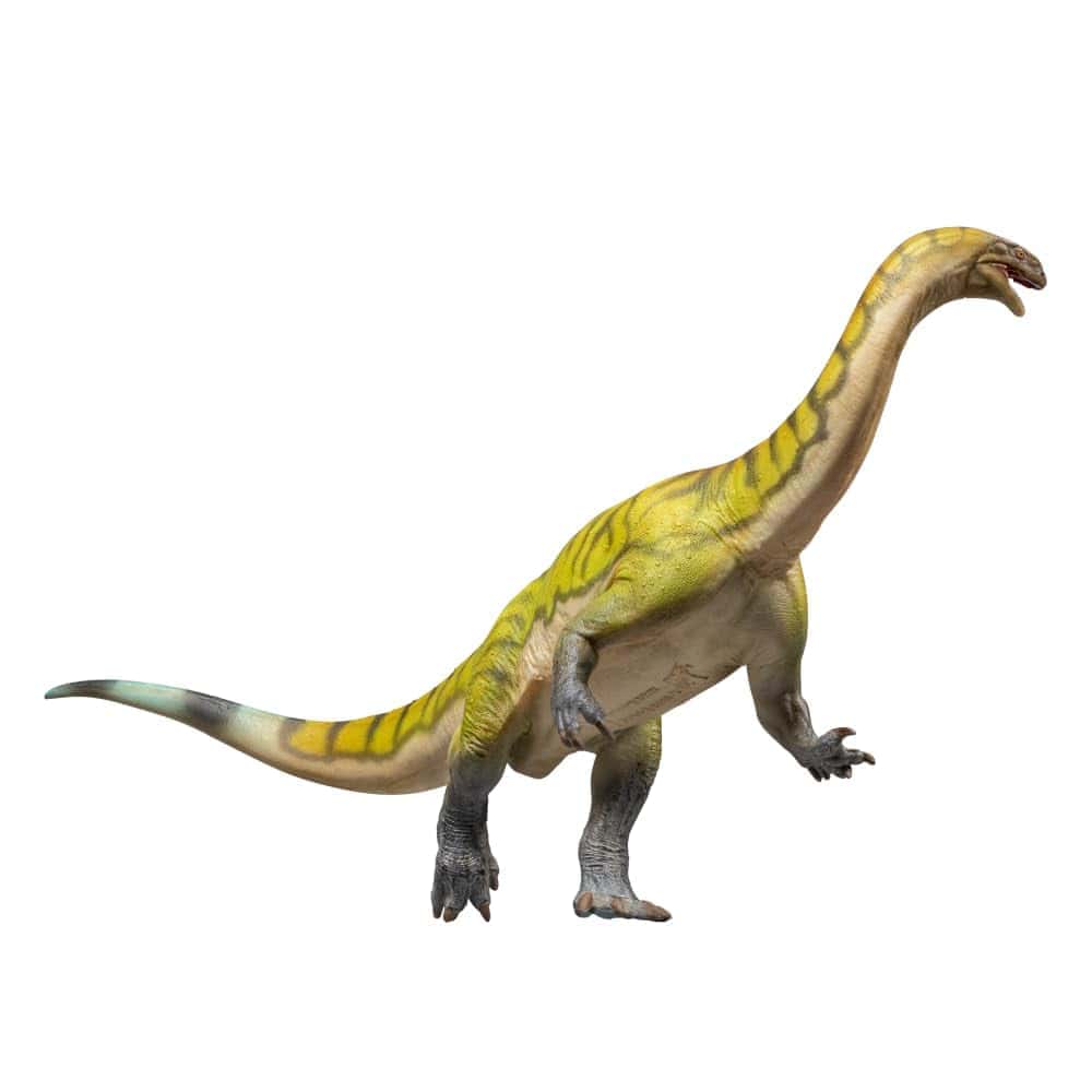 PNSO Modelos de Dinosaurios Prehistóricos: 81 Yiran El
