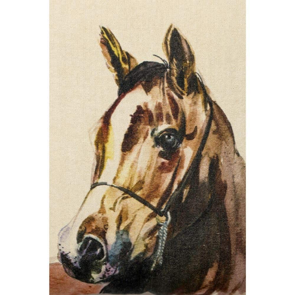 Almohadas Decorativas Marrón COTT N CURLS - Almohada - Imagen 3