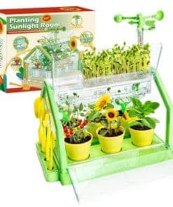 EXBEPE Kids Plant Growing Kit - Kit de Invernadero para