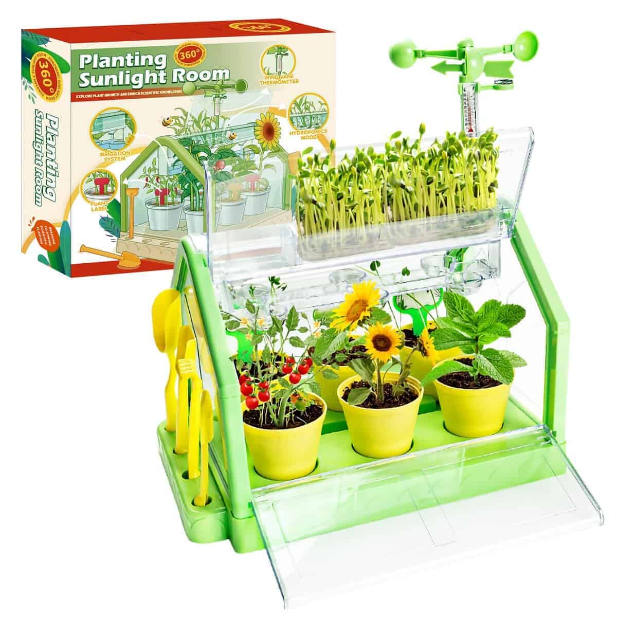 EXBEPE Kids Plant Growing Kit - Kit de Invernadero para
