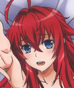 Funda de almohada corporal abrazable High School DxD Rias