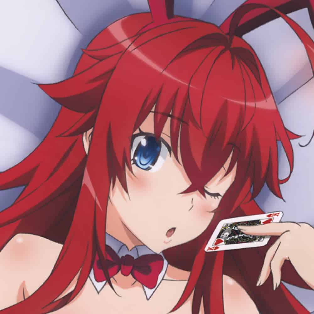 Funda de almohada corporal abrazable High School DxD Rias - Imagen 3