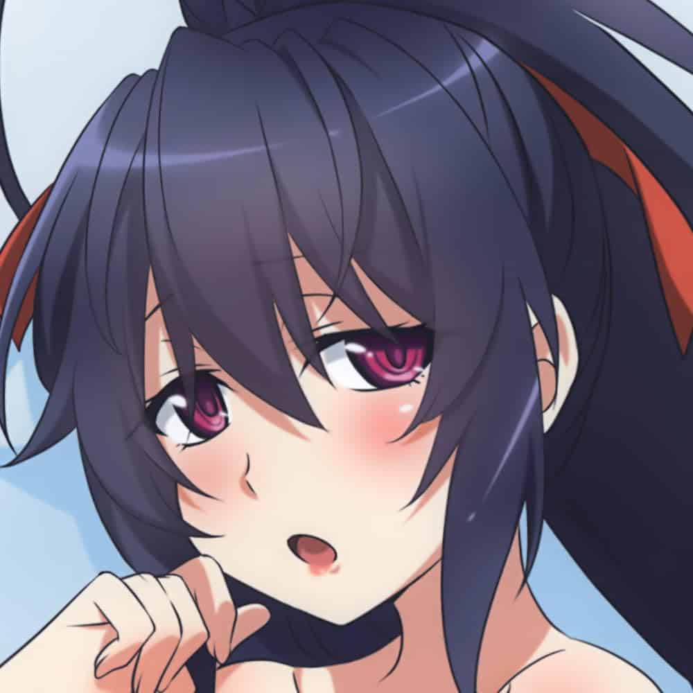 Funda de Almohada Cuerpo Akeno Himejima High School DxD - Imagen 3