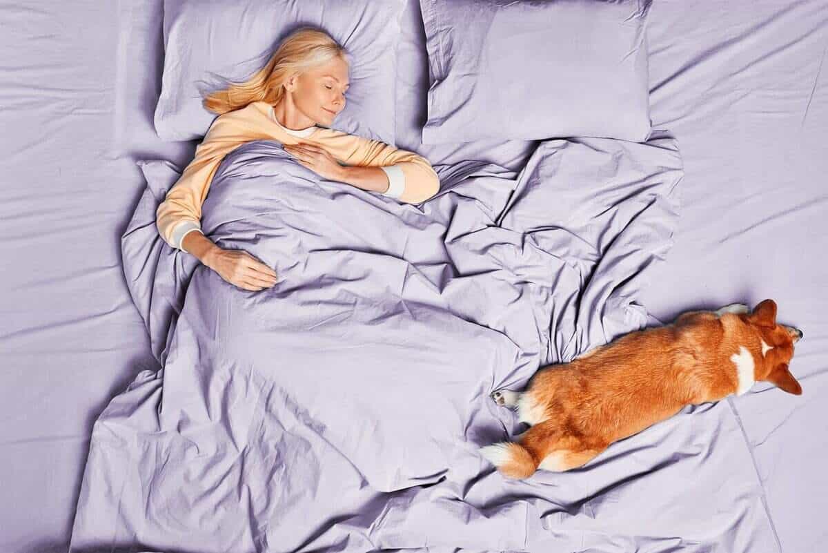 Juego de Sábanas de Jersey de Algodón Rico en 1800 Hilos de - Imagen 6