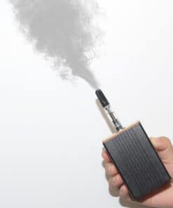 Máquina de Humo para Fiestas al Aire Libre Portátil de Mano