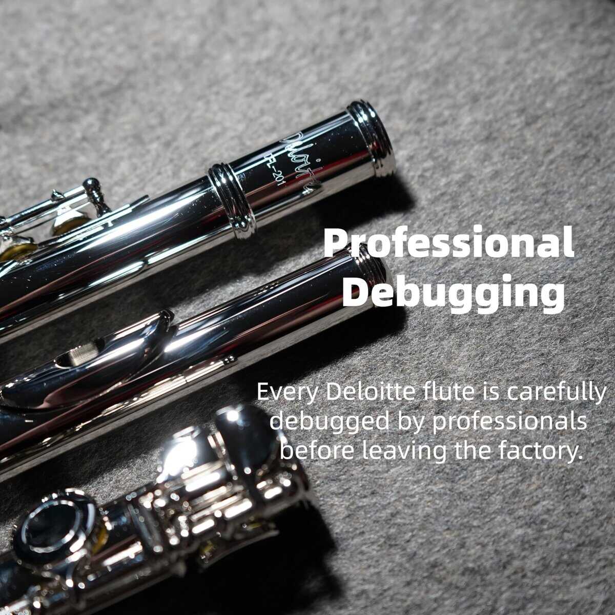Flauta C Deloitte Cerrada 16 Llaves Niquelada, DFL-101, - Imagen 6