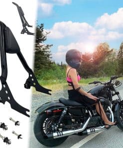 Sissy Bar Sportster para Modelos XL 04-23 Desmontables de