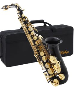 Saxofón Alto LeSage en Mi Bemol Negro para Principiantes