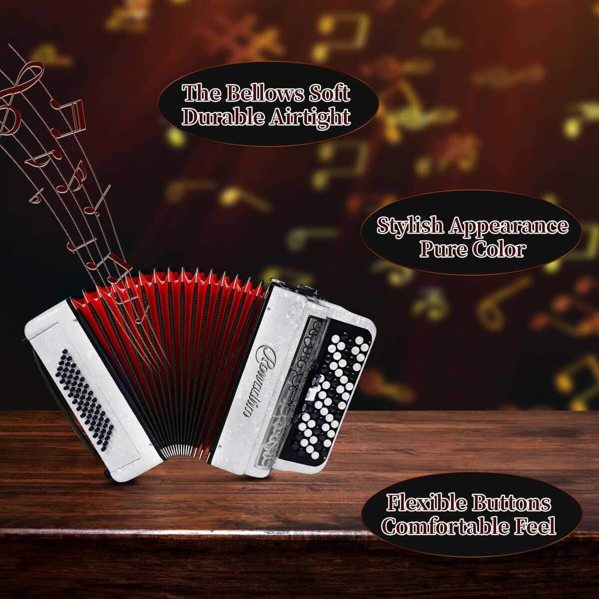 Acordeón - Modelo profesional de piano de 62 teclas 60 - Imagen 5