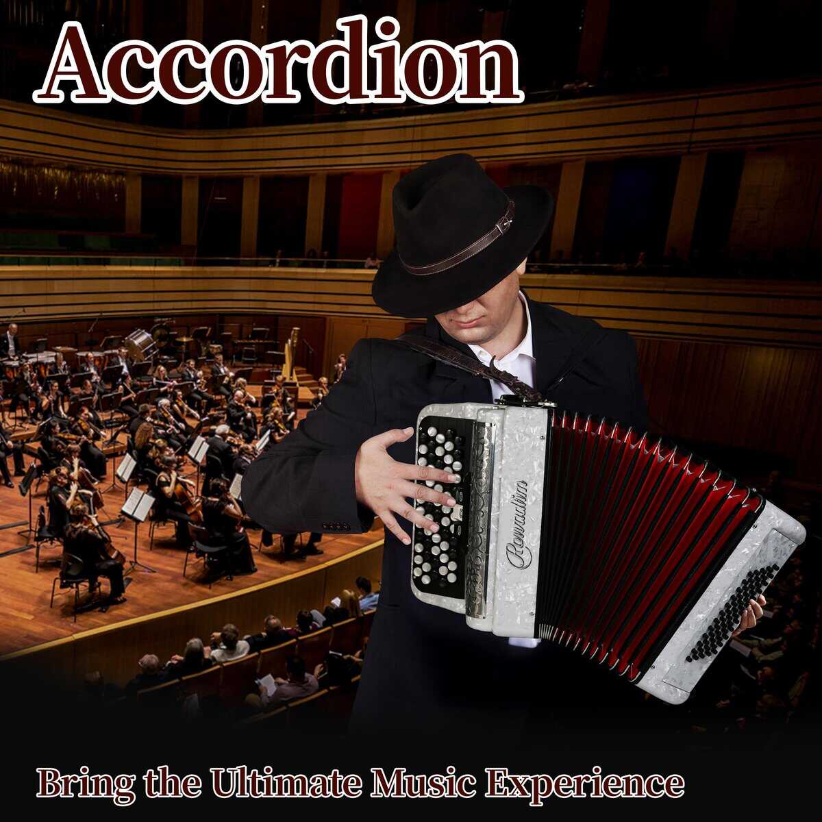 Acordeón - Modelo profesional de piano de 62 teclas 60 - Imagen 7