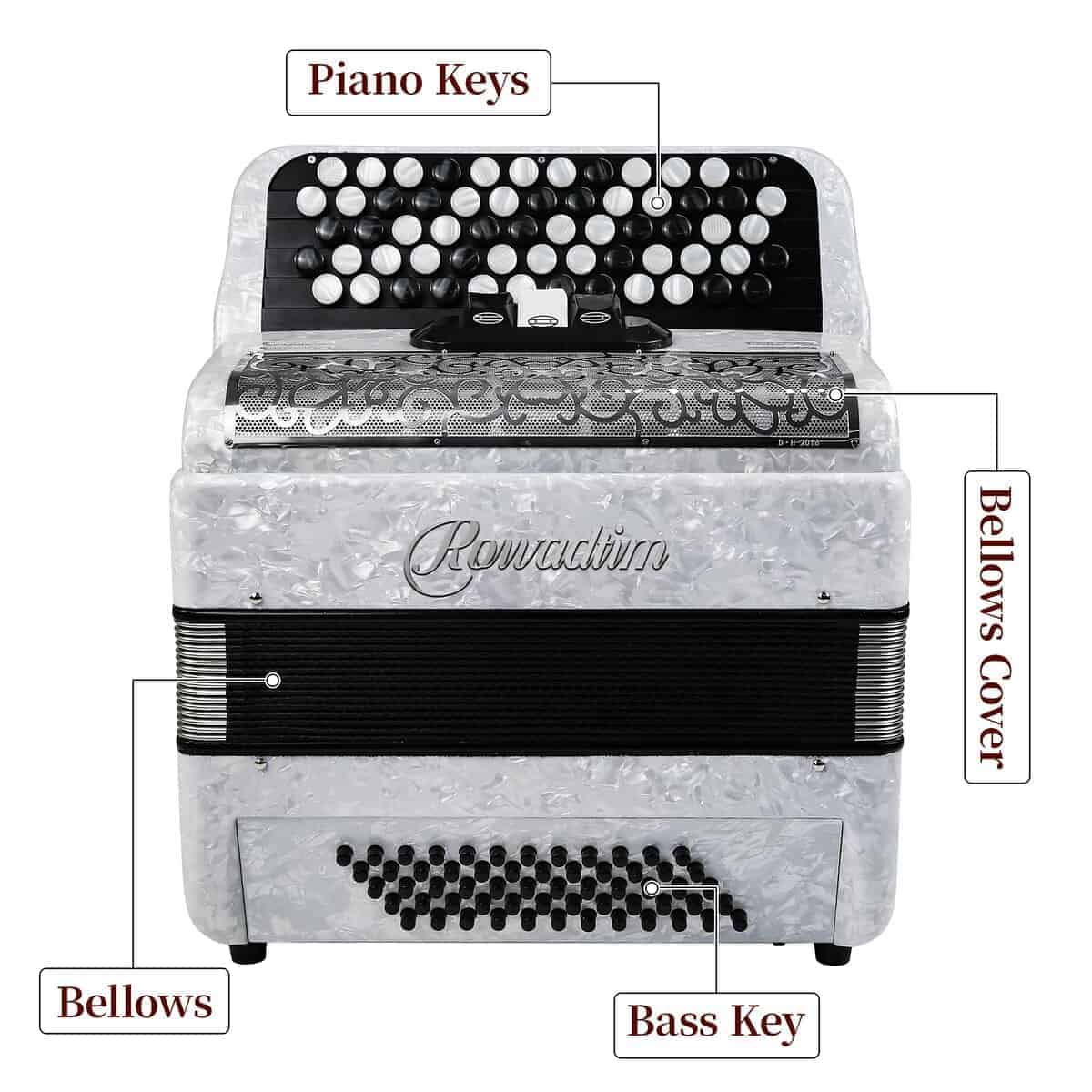 Acordeón - Modelo profesional de piano de 62 teclas 60 - Imagen 4