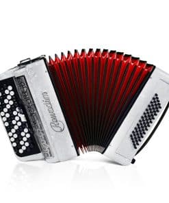 Acordeón - Modelo profesional de piano de 62 teclas 60