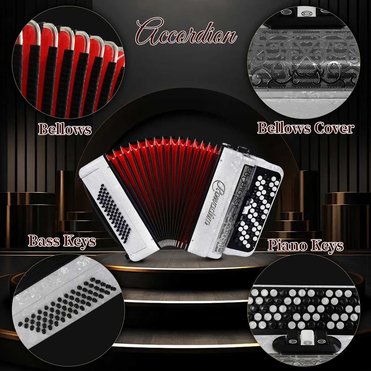 Acordeón - Modelo profesional de piano de 62 teclas 60 - Imagen 6
