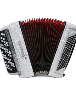 Acordeón - Modelo Profesional 69 Teclas 96 Bajos con Correa