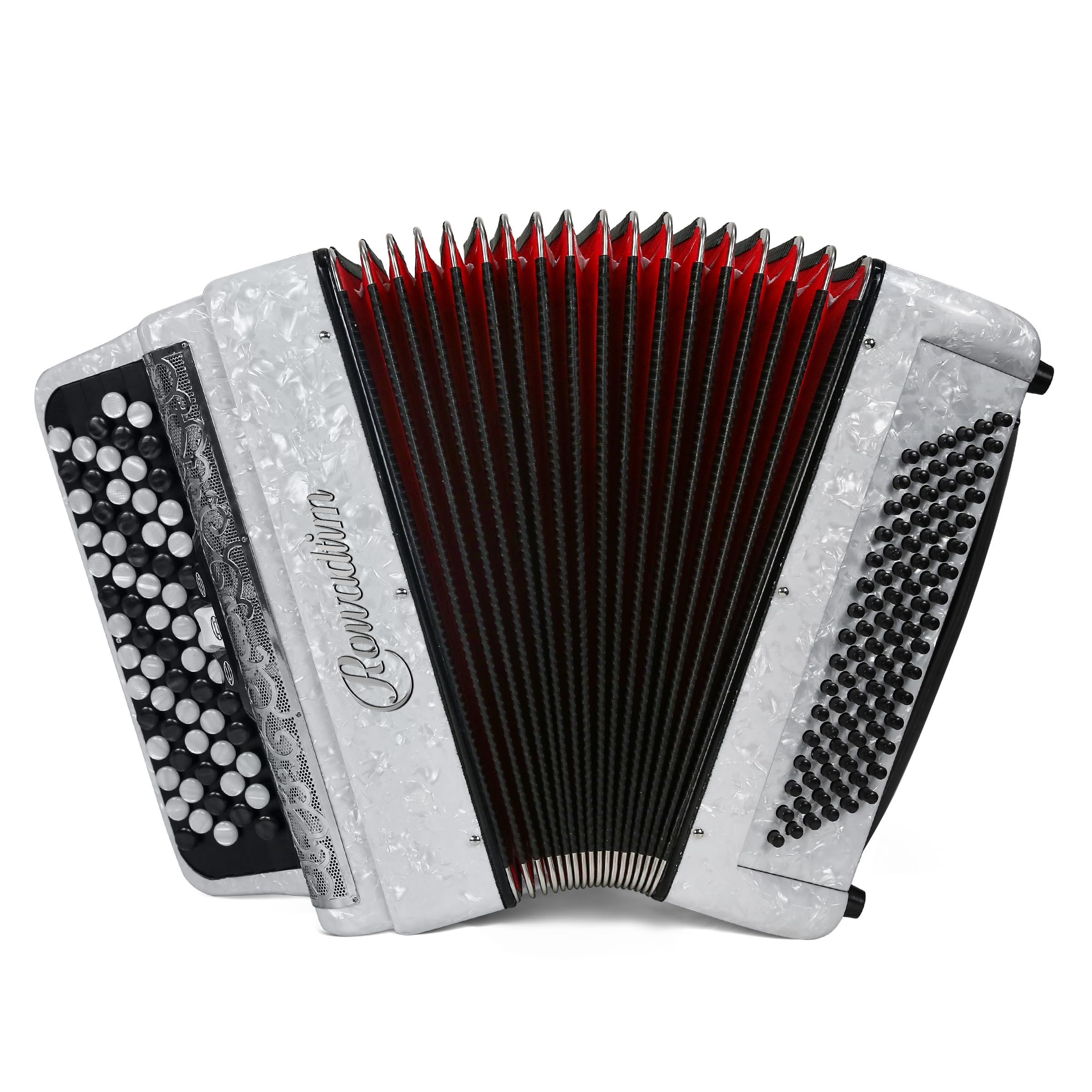 Acordeón - Modelo Profesional 69 Teclas 96 Bajos con Correa