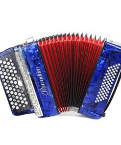 Acordeón - Modelo profesional de piano de 62 teclas y 60