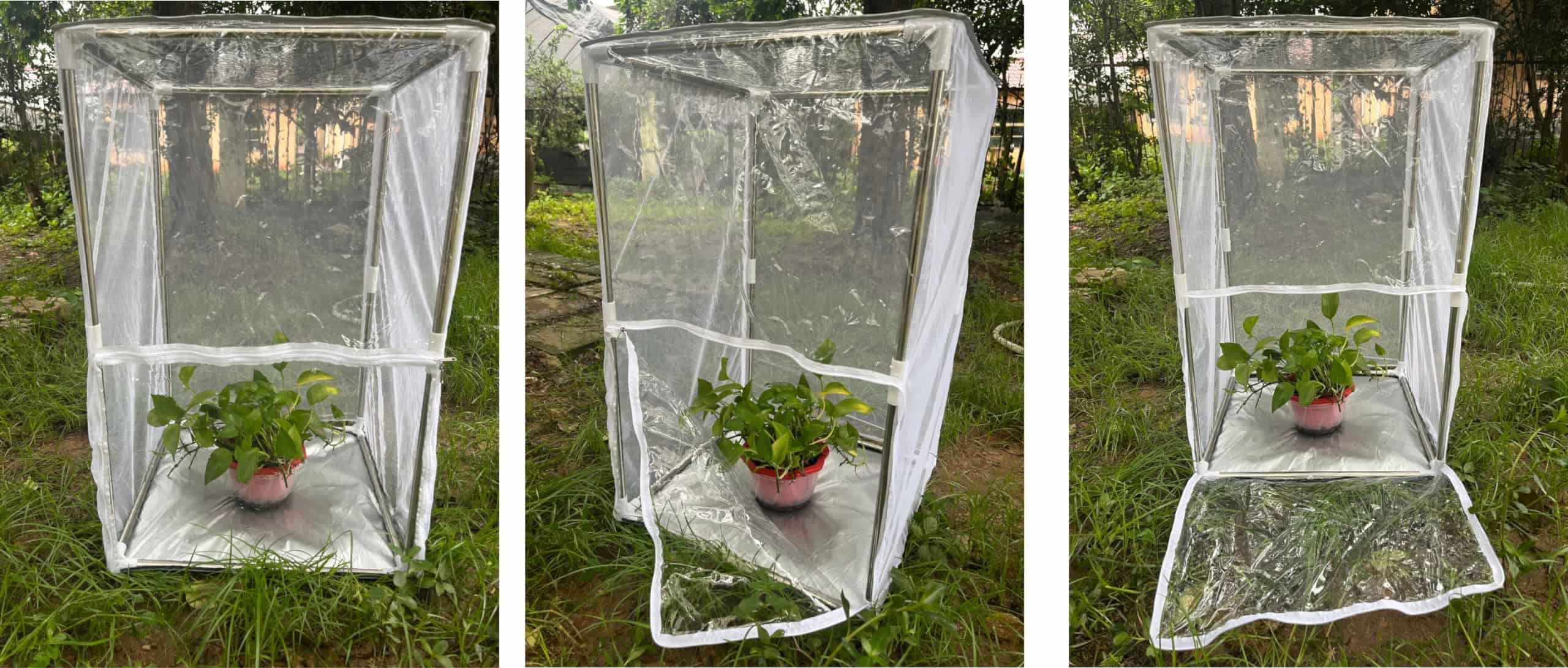 Jaula Grande para Mariposas Monarca al Aire Libre Red de - Imagen 5