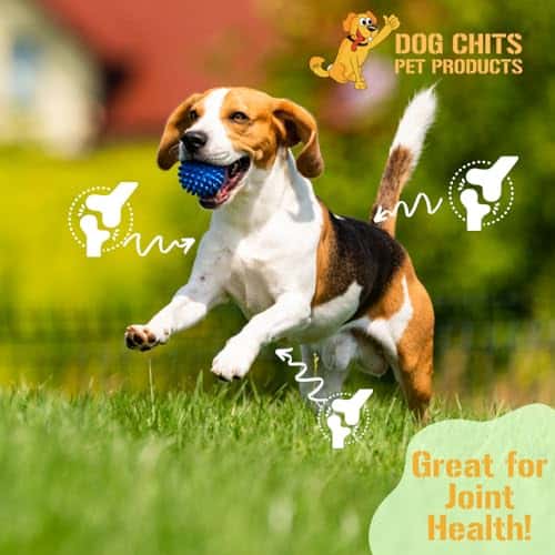 Tendones de Res para Perros y Cachorros | Grandes de 7-9 - Imagen 4