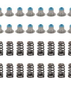 Kit de resortes de válvula con selladores Beehive LS6 560''
