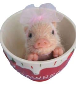 AVANI DOLL 5'' Mini Piglet Reborn Baby Piglet de Cuerpo