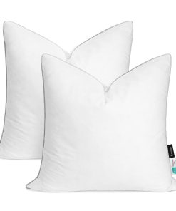 Lewondr 22x22 Pulgadas Juego de 2 Insertos de Almohada,