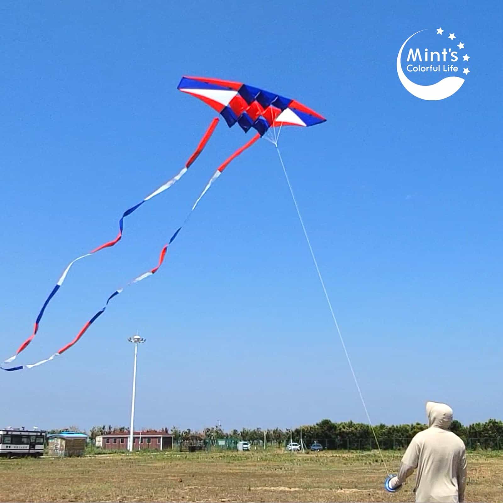 Cometa de Playa para Adultos Grande con -Rojo, Blanco y Azul - Imagen 6