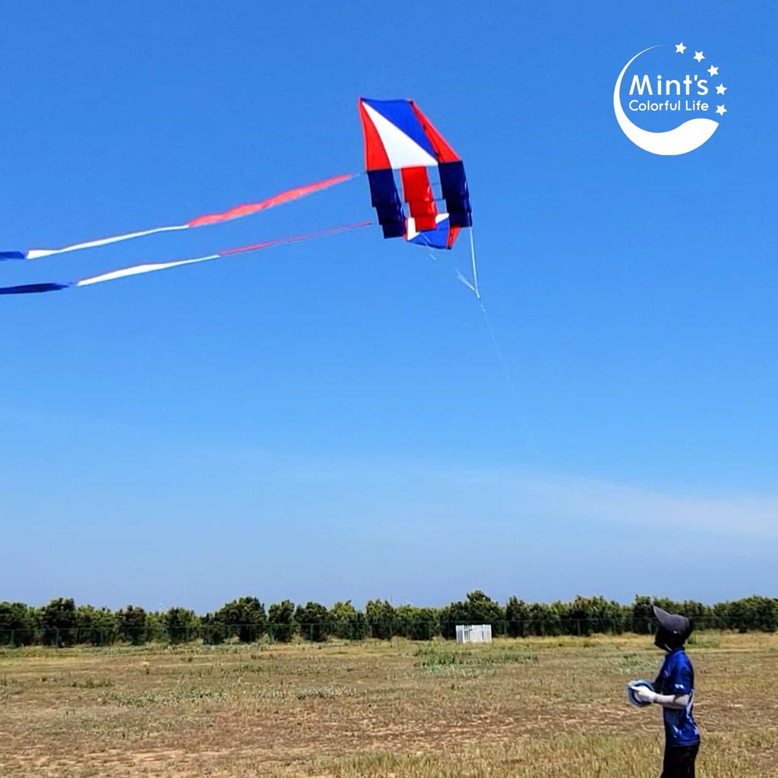 Cometa de Playa para Adultos Grande con -Rojo, Blanco y Azul - Imagen 7