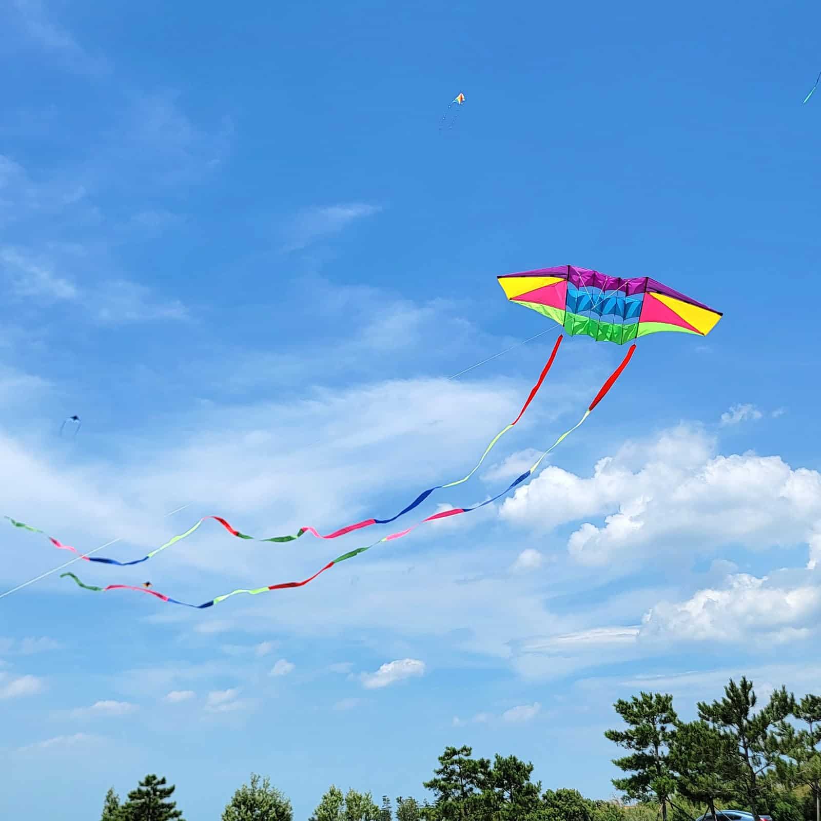 Cometa de Playa para Adultos Grande con -Arcoíris - Imagen 8