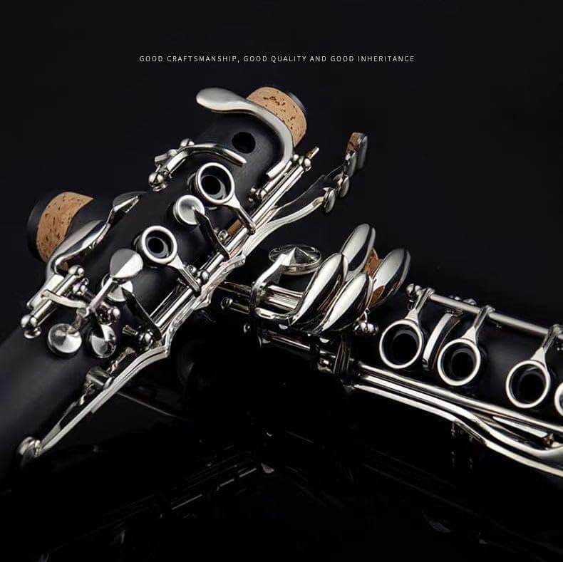 Clarinete Aiollins JCL-100 Bb Estudiante Clarinete - Imagen 5