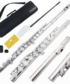 Flauta Aiollns AFL-100 con Cerradura de Agujeros 16 Llaves