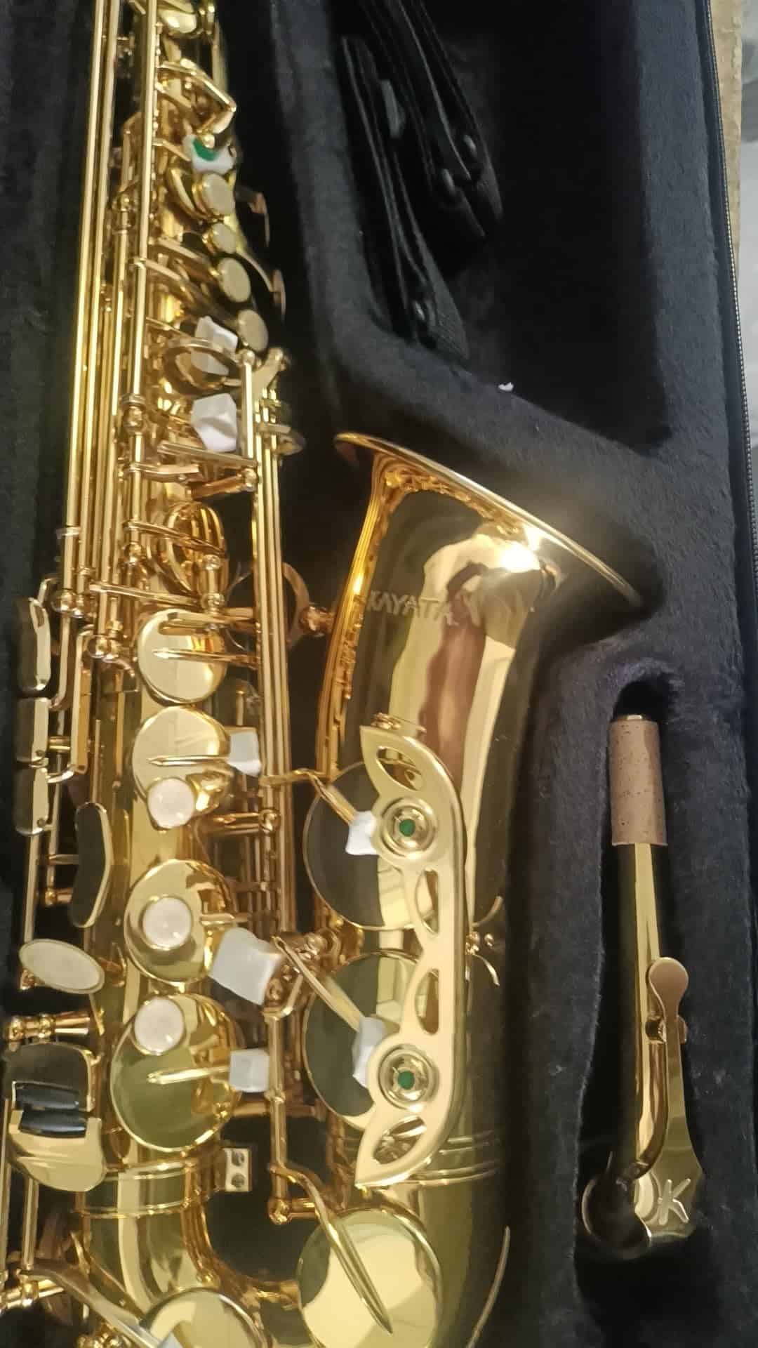 Saxofón Alto KAYATA con Llave F#, Estuche de Canvas, - Imagen 8