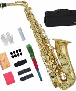 Saxofón Alto KAYATA con Llave F#, Estuche de Canvas,