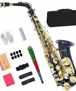 Saxofón Eb Alto KAYATA con Llave F#, Estuche de Lona,