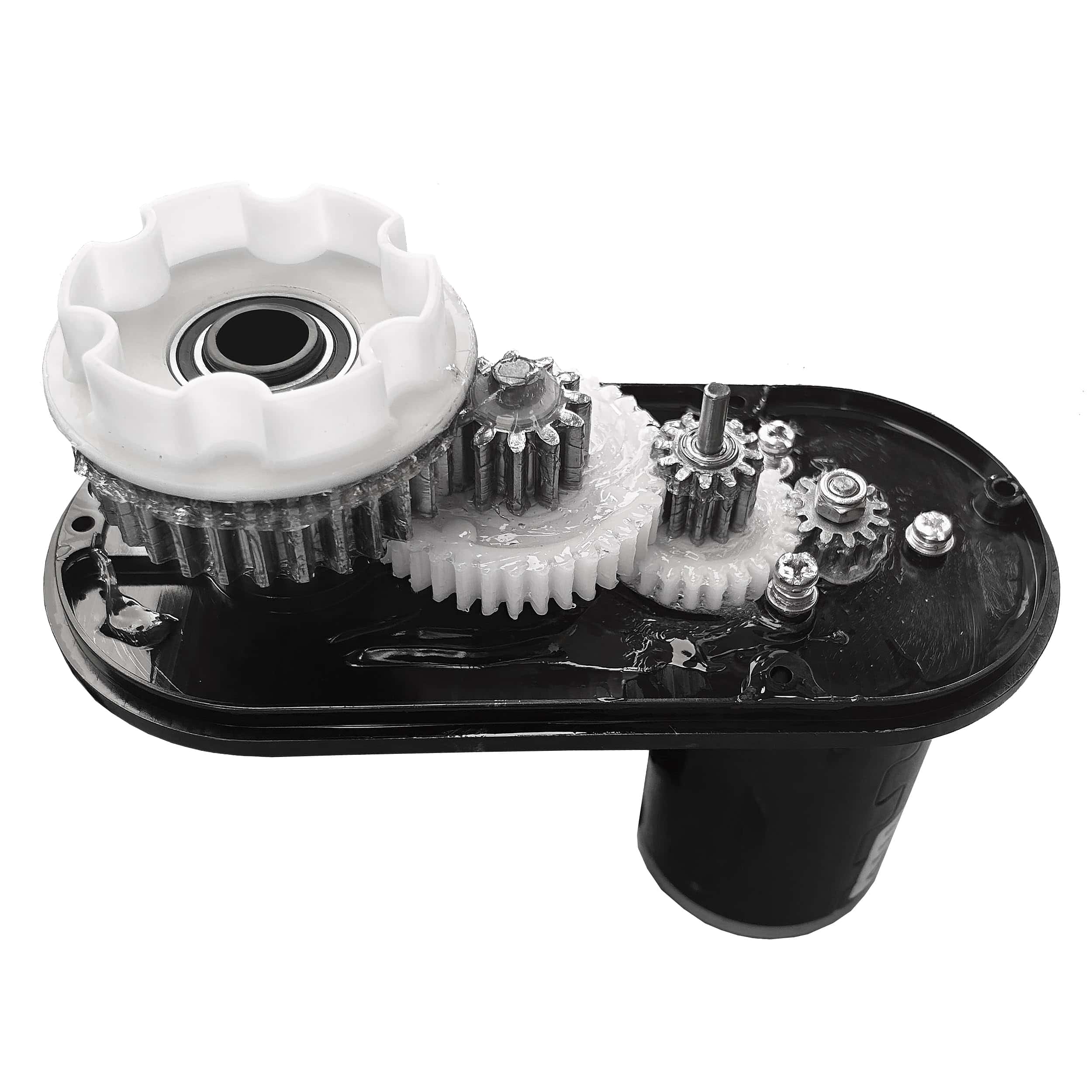 Upgrade de Motor de Alto Torque de 24 Voltios con Caja de - Imagen 3