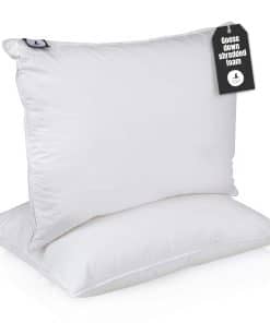 Almohada Híbrida PremierDown de Plumas de Ganso Blancas y