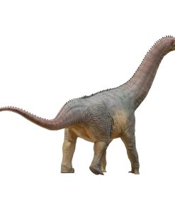 PNSO Modelos de Dinosaurios Prehistóricos: 85 Njor El