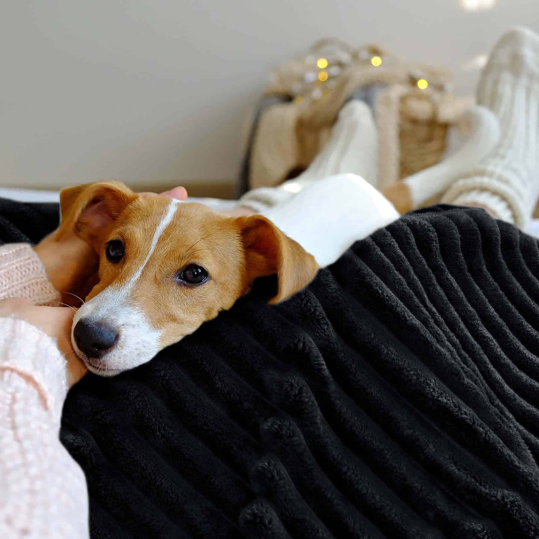 Manta de Sherpa de Tamaño King INFIIXSO - Manta de Felpa a - Imagen 5