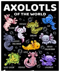 Manta de Axolote - Regalos de Felpa de Axolote Lindos para