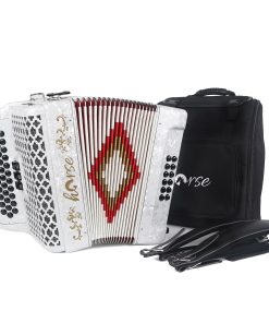 Acordeón Diatónico de 34 Teclas 12 Bajos Instrumento para