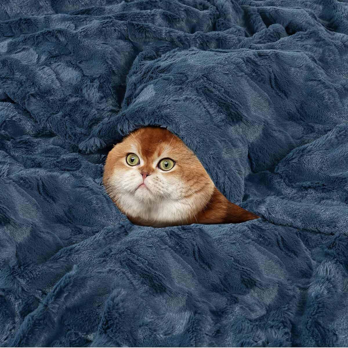 TOONOW Manta de Lujo de Piel sintética, Doble -Azul Marino - Imagen 3