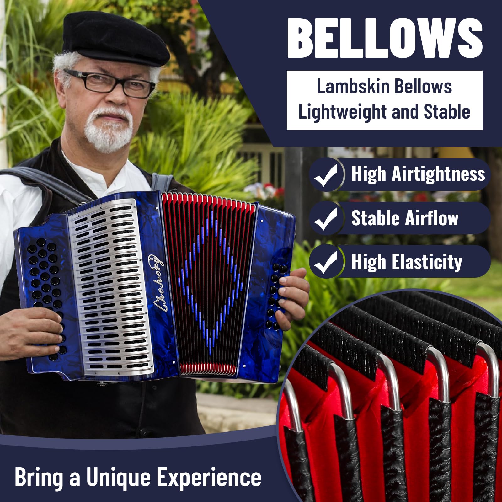 Acordeón - 31 Teclas 12 Bajos Diatónico Afinación G/C/F con - Imagen 5