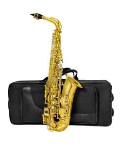 Saxofón Alto Aiollns JAS-801 en Mi Bemol Color Dorado para