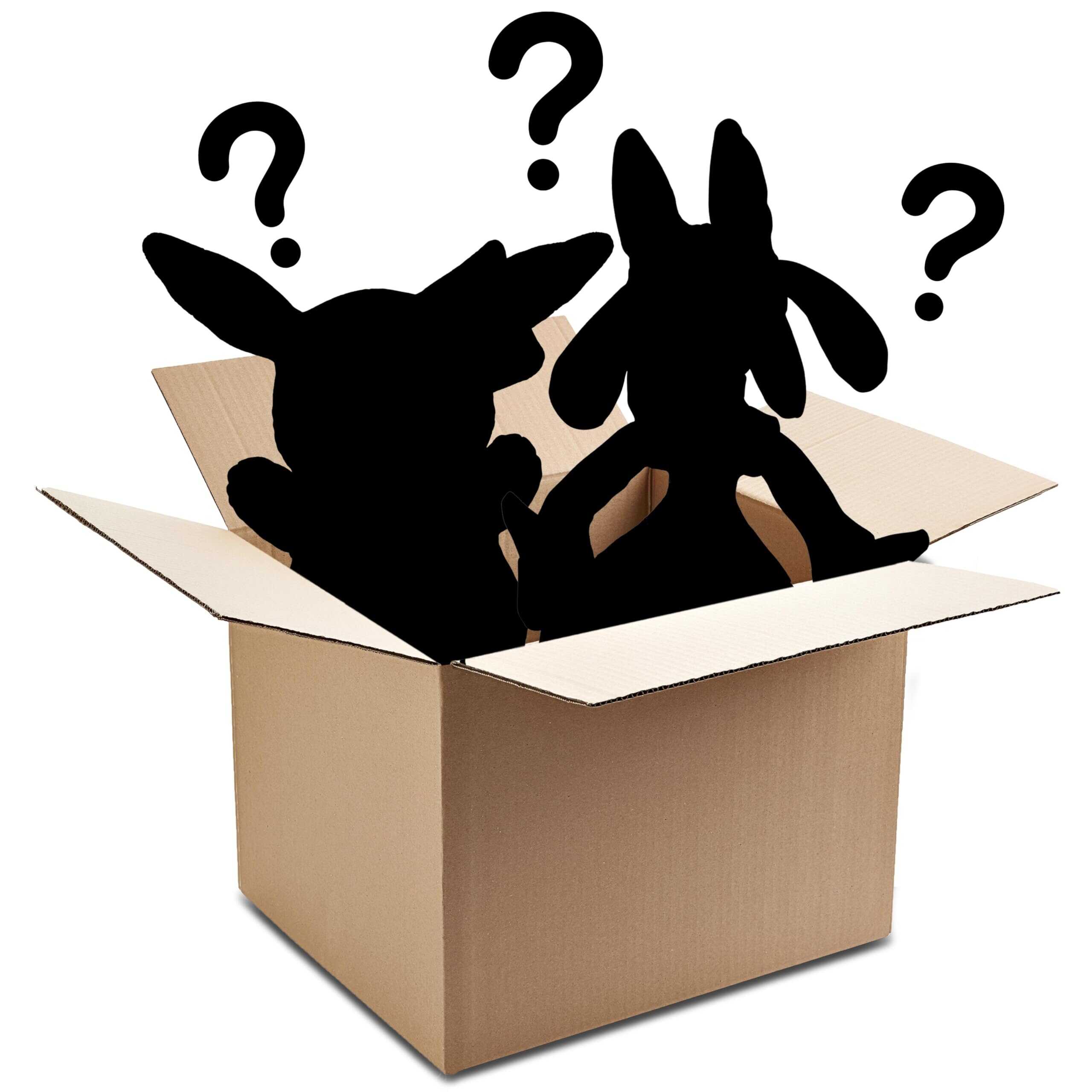 Pokemon 12" Paquete de 2 Peluches Misteriosos - Recibe 2 - Imagen 4