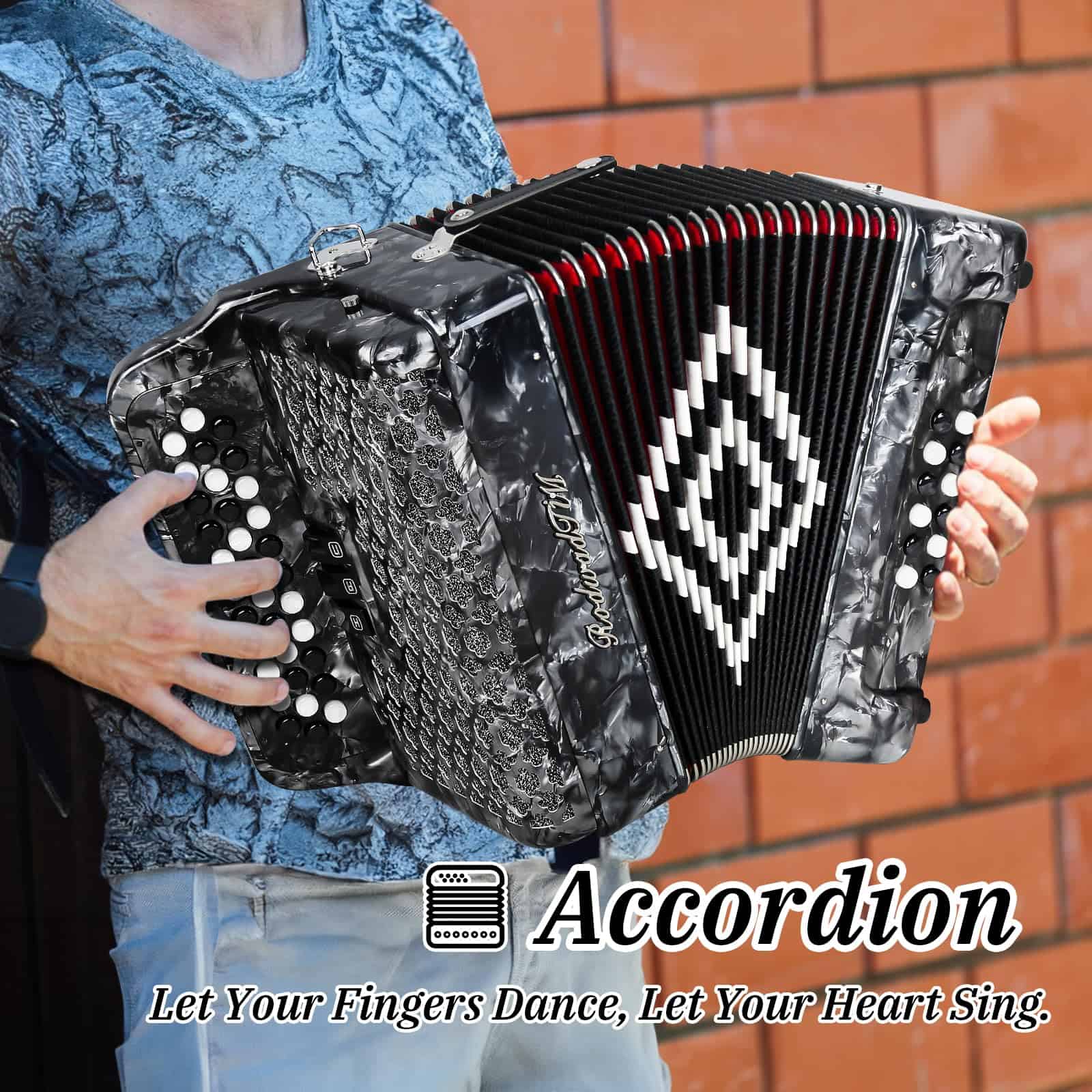 Acordeón - 34 teclas diatónicas, 12 -es (Gris) - Imagen 3