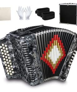 Acordeón - 31 Teclas, 12 Bajos -Gris