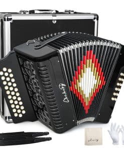 Acordeón de 31 Teclas 12 Bajos Diatónico Push Pull