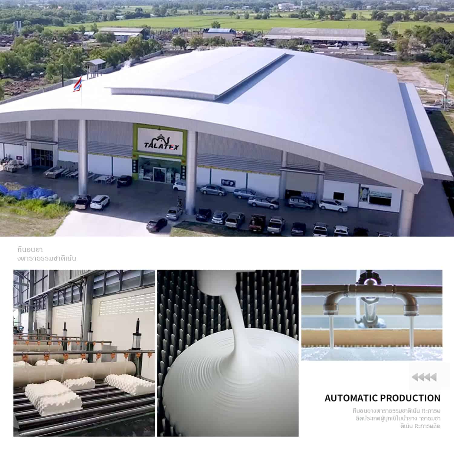 Almohada de Cuerpo de Látex Ajustable Premium Talatex, - Imagen 7